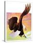 "Soaring Bald Eagle,"October 28, 1933-Jack Murray-Stretched Canvas