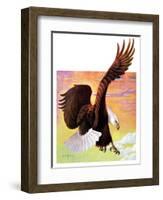 "Soaring Bald Eagle,"October 28, 1933-Jack Murray-Framed Giclee Print