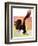 "Soaring Bald Eagle,"October 28, 1933-Jack Murray-Framed Giclee Print