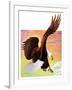 "Soaring Bald Eagle,"October 28, 1933-Jack Murray-Framed Giclee Print