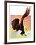 "Soaring Bald Eagle,"October 28, 1933-Jack Murray-Framed Giclee Print