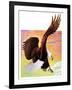 "Soaring Bald Eagle,"October 28, 1933-Jack Murray-Framed Giclee Print