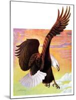 "Soaring Bald Eagle,"October 28, 1933-Jack Murray-Mounted Giclee Print