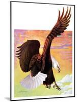 "Soaring Bald Eagle,"October 28, 1933-Jack Murray-Mounted Giclee Print