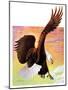 "Soaring Bald Eagle,"October 28, 1933-Jack Murray-Mounted Giclee Print