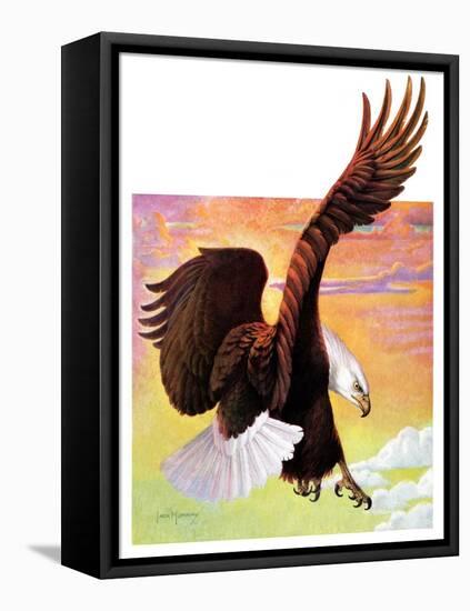 "Soaring Bald Eagle,"October 28, 1933-Jack Murray-Framed Stretched Canvas