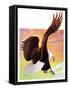 "Soaring Bald Eagle,"October 28, 1933-Jack Murray-Framed Stretched Canvas