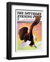 "Soaring Bald Eagle," Saturday Evening Post Cover, October 28, 1933-Jack Murray-Framed Premium Giclee Print