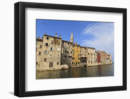 Soaring Birds over the Old Town Peninsula on a Summer's Early Morning-Eleanor Scriven-Framed Photographic Print