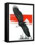 "Soaring Eagle,"March 22, 1924-Charles Bull-Framed Stretched Canvas
