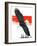 "Soaring Eagle,"March 22, 1924-Charles Bull-Framed Giclee Print