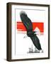 "Soaring Eagle,"March 22, 1924-Charles Bull-Framed Giclee Print