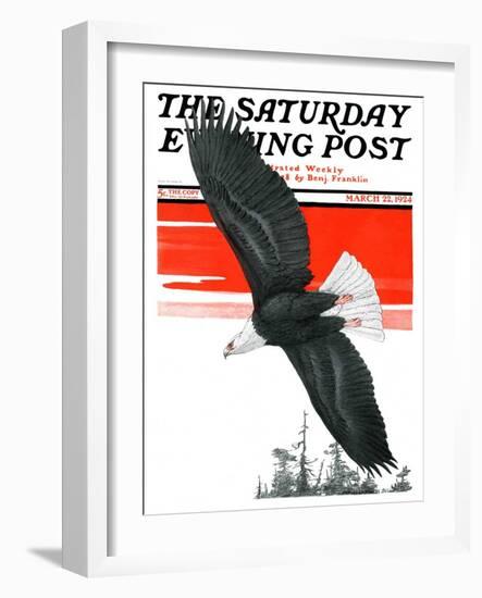 "Soaring Eagle," Saturday Evening Post Cover, March 22, 1924-Charles Bull-Framed Giclee Print