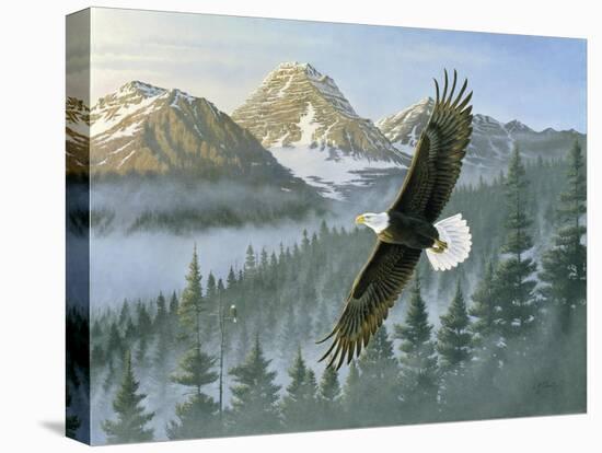 Soaring Eagle-Wilhelm Goebel-Stretched Canvas