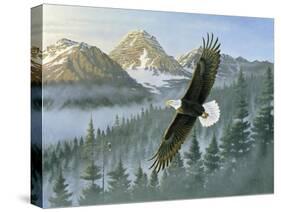 Soaring Eagle-Wilhelm Goebel-Stretched Canvas