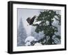 Soaring Eagle-William Vanderdasson-Framed Giclee Print