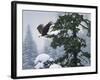 Soaring Eagle-William Vanderdasson-Framed Giclee Print