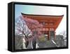 Soaring Gate of Temple, Kyoto, Japan-Shin Terada-Framed Stretched Canvas