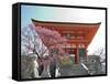 Soaring Gate of Temple, Kyoto, Japan-Shin Terada-Framed Stretched Canvas