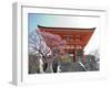 Soaring Gate of Temple, Kyoto, Japan-Shin Terada-Framed Photographic Print