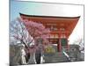 Soaring Gate of Temple, Kyoto, Japan-Shin Terada-Mounted Photographic Print