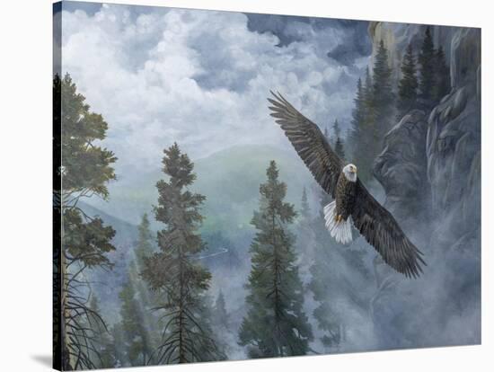 Soaring High II-B. Lynnsy-Stretched Canvas