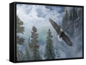 Soaring High II-B. Lynnsy-Framed Stretched Canvas