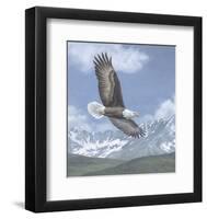 Soaring High-Todd Telander-Framed Art Print