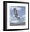 Soaring High-Todd Telander-Framed Art Print