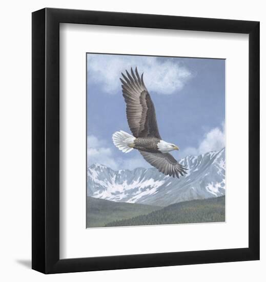 Soaring High-Todd Telander-Framed Art Print