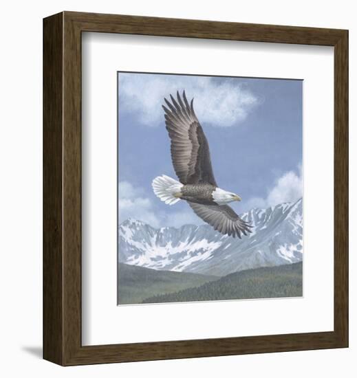 Soaring High-Todd Telander-Framed Art Print