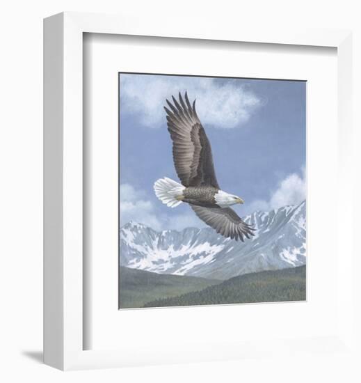 Soaring High-Todd Telander-Framed Art Print