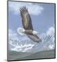 Soaring High-Todd Telander-Mounted Art Print