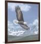 Soaring High-Todd Telander-Framed Art Print