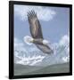 Soaring High-Todd Telander-Framed Art Print