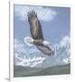 Soaring High-Todd Telander-Framed Art Print