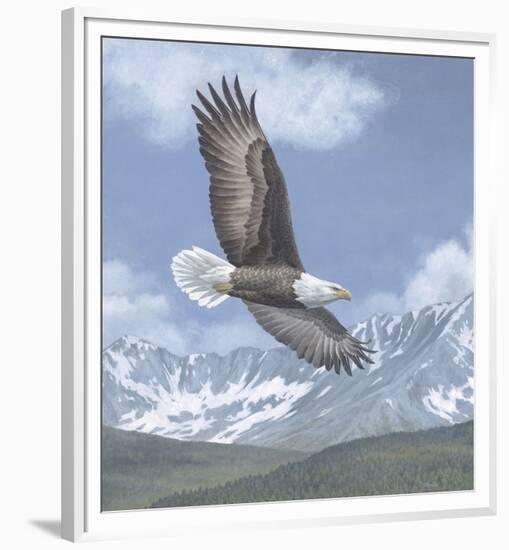 Soaring High-Todd Telander-Framed Art Print