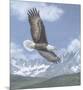 Soaring High-Todd Telander-Mounted Art Print