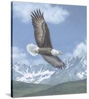 Soaring High-Todd Telander-Stretched Canvas