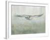 Soaring Neutral-Danhui Nai-Framed Art Print