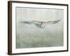 Soaring Neutral-Danhui Nai-Framed Art Print