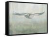 Soaring Neutral-Danhui Nai-Framed Stretched Canvas