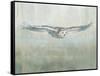 Soaring Neutral-Danhui Nai-Framed Stretched Canvas