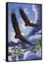 Soaring Over Cloth Mountain-Kestrel Michaud-Framed Stretched Canvas