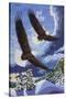Soaring Over Cloth Mountain-Kestrel Michaud-Stretched Canvas