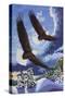 Soaring Over Cloth Mountain-Kestrel Michaud-Stretched Canvas