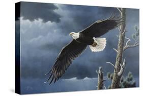 Soaring Wings-Wilhelm Goebel-Stretched Canvas