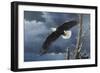 Soaring Wings-Wilhelm Goebel-Framed Giclee Print