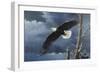 Soaring Wings-Wilhelm Goebel-Framed Giclee Print