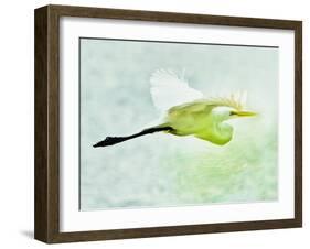 Soaring with Determination-Mary Lou Johnson-Framed Photo